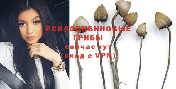 спайс Верея