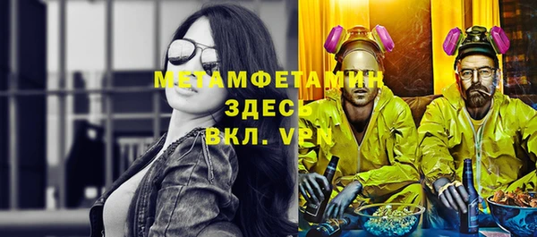 ГАЛЛЮЦИНОГЕННЫЕ ГРИБЫ Козловка