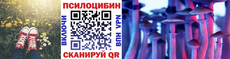 hydra Гай Псилоцибиновые грибы прущие грибы дарнет шоп