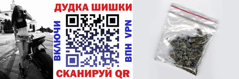 Конопля сатива  Гай 